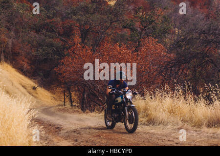 Man riding motorbike, Sequoia National Park, California, USA Banque D'Images