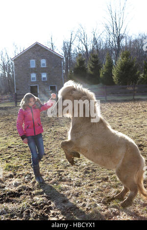 Jeune fille à l'extérieur, jouant avec pony Banque D'Images