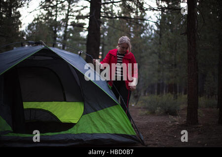 Jeune femme préparant tente en forêt au crépuscule, Mammoth Lakes, California, USA Banque D'Images