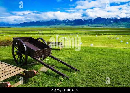 Ancien panier à deux roues sur la pelouse Banque D'Images