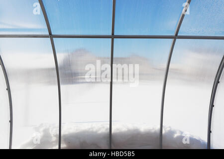 Vue depuis l'intérieur d'une serre l'hiver Banque D'Images