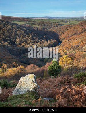 La rivière Dart vue de la Paillasse Tor dans le Dartmoor National Park, Devon au cours de l'automne. Banque D'Images