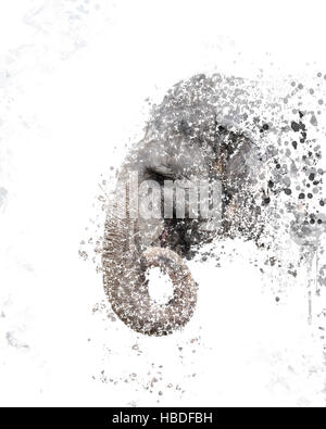 Aquarelle portrait d'éléphant Banque D'Images