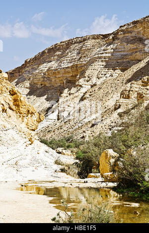 Canyon en Israël Banque D'Images