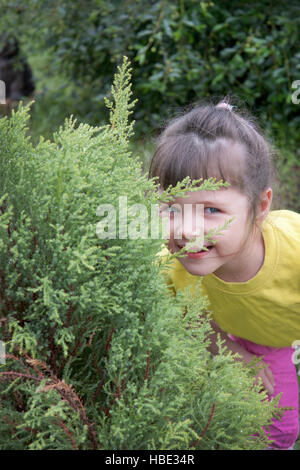 Petite fille jouant à cache-cache Banque D'Images