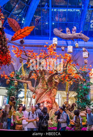 Saison d'automne en véranda de l'hôtel Bellagio & Botanical Gardens à Las Vegas. Banque D'Images