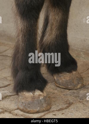 Bottes De Protection Pour Sabots De Cheval - Caoutchouc Noir - Isolantes - NEUVES