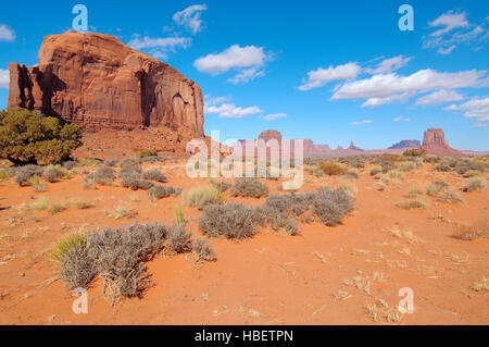 Monument Valley, paysage Elephant Butte et du Nord Buttes, Monument Valley Navajo Tribal Park, Réserve de la Nation Navajo, Utah/Arizona Border Banque D'Images