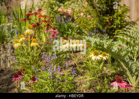 Lit de fleurs dans un jardin anglais Banque D'Images