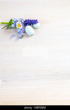 Forget-me-not, Daisy et grapehyacinth Banque D'Images