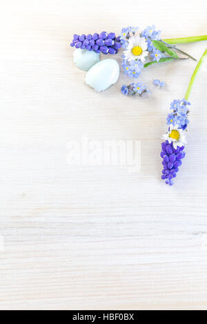 Forget-me-not, Daisy et grapehyacinth Banque D'Images