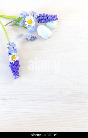 Forget-me-not, Daisy et grapehyacinth Banque D'Images