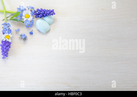 Forget-me-not, Daisy et grapehyacinth Banque D'Images