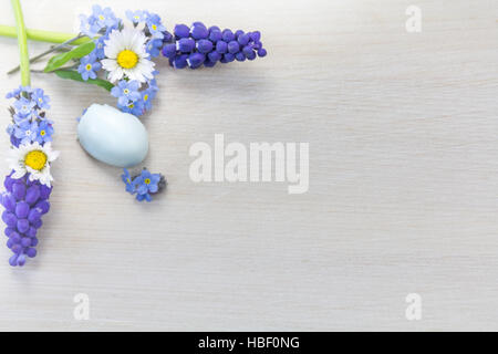 Forget-me-not, Daisy et grapehyacinth Banque D'Images