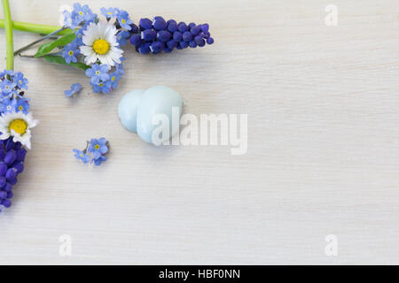 Forget-me-not, Daisy et grapehyacinth Banque D'Images