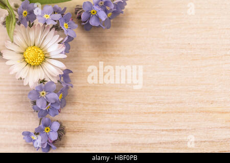 Forget-me-not, Daisys et grapehyacinth Banque D'Images