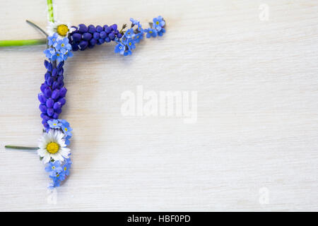 Forget-me-not, Daisys et grapehyacinth Banque D'Images