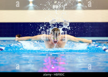 Nageur dans la piscine nage papillon à l'intérieur. Les athlètes s'entraînent wate Banque D'Images