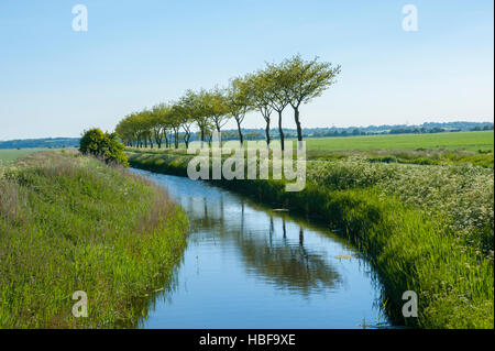 Rivière sur Romney Marsh de pont Beckets. près de Appledore. Kent. Banque D'Images