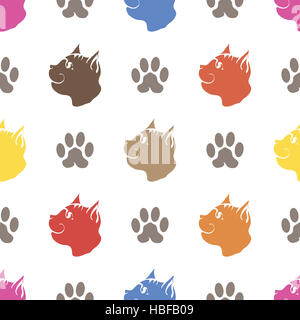 Patte de chat Animal Courant Continu Banque D'Images