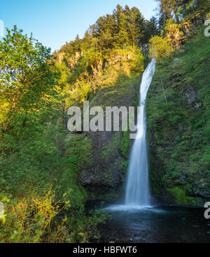 La prêle tombe dans la Columbia Gorge est une attraction populaire oradside Banque D'Images