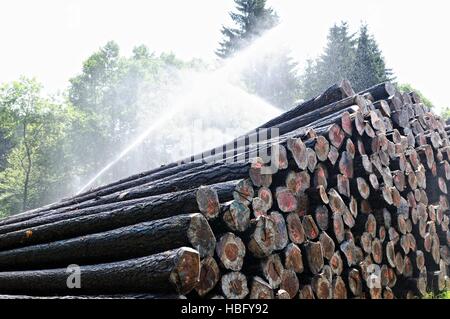 Parc de séchage avec arrosage automatique Banque D'Images