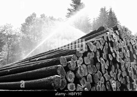 Triage du bois avec système de gicleurs noir-blanc Banque D'Images