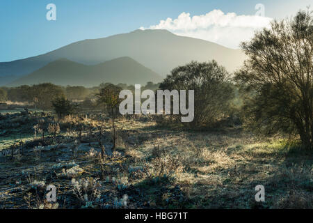 Piano dei Grilli, brumes matinales, Mont Ruvolo, flanc ouest de l'Etna, volcans, Bronte, Sicile, Italie Banque D'Images
