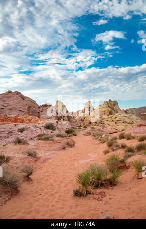 Des formations de roche rouge-orange, de grès, de coupoles blanches Trail, Vallée de Feu, le parc désert de Mojave, Nevada, USA Banque D'Images