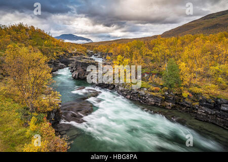 Abisko Canyon en automne, rivière Abiskojåkka, Abiskojokk, Abisko National Park, Norrbotten, Lapland, Sweden Banque D'Images