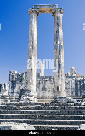 Colonnes du temple d'apollon, didymes, Anatolie, Turquie Banque D'Images