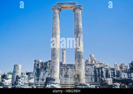 Colonnes du temple d'apollon, didymes, Anatolie, Turquie Banque D'Images