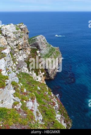 Cap Vidio côte (côte des Asturies, Espagne). Banque D'Images