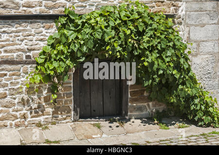 Petite porte en bois ancien et de la vigne Banque D'Images