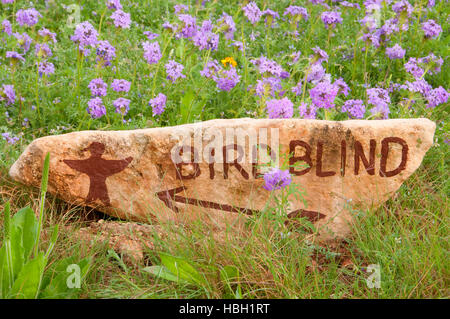 Aveugles d'oiseaux signe, South Llano River State Park, Texas Banque D'Images