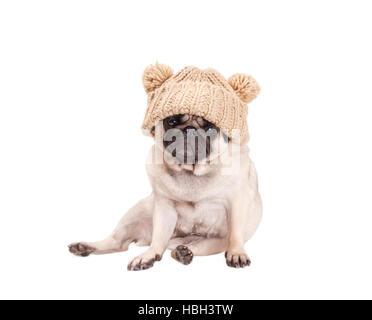 Le pug doux petit chien assis et portant un chapeau tricoté de pompons, isolé sur fond blanc Banque D'Images