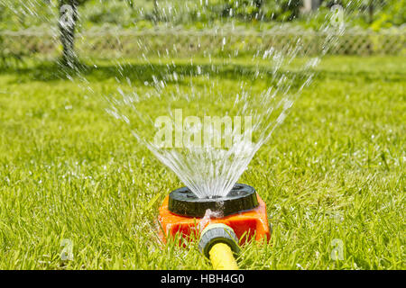 Arrosage pelouse verte Banque D'Images