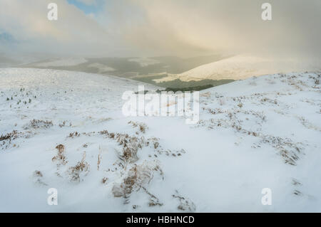 La neige dans les montagnes de Wicklow Banque D'Images