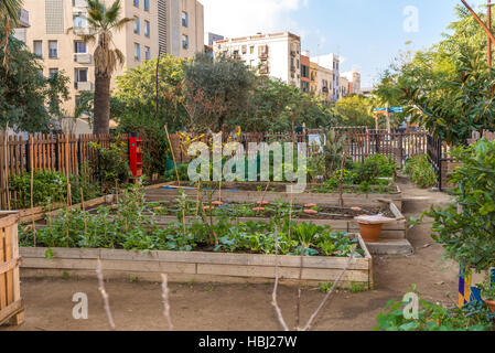 Jardin dans le quartier d'El Born de Barcelone Banque D'Images