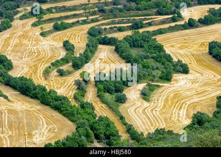 Paysage culturel dans le sud de la france Banque D'Images