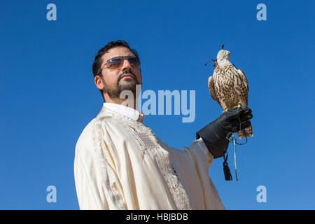 Homme tenant un faucon sacre oh son bras contre un ciel bleu Banque D'Images