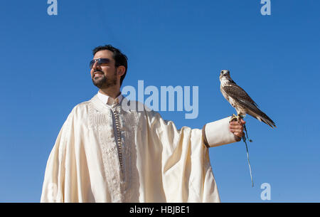 Homme tenant un faucon sacre oh son bras contre un ciel bleu Banque D'Images