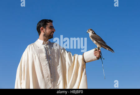 Homme tenant un faucon sacre oh son bras contre un ciel bleu Banque D'Images