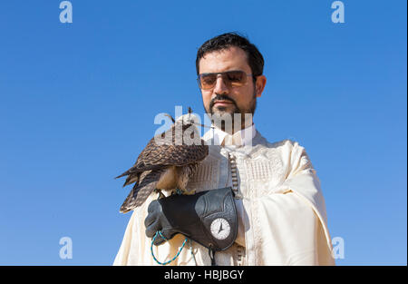 Homme tenant un faucon sacre oh son bras contre un ciel bleu Banque D'Images