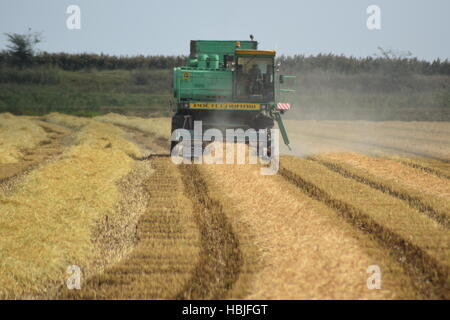 Moissonneuses-batteuses Don. Les machines agricoles. Banque D'Images