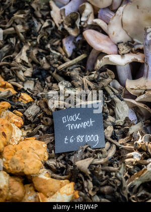 Champignons trompette noire douce en vente Banque D'Images