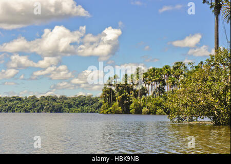 Bassin de l'Amazone, au Pérou Banque D'Images