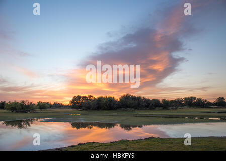 Aube sur paysage aquatique Banque D'Images