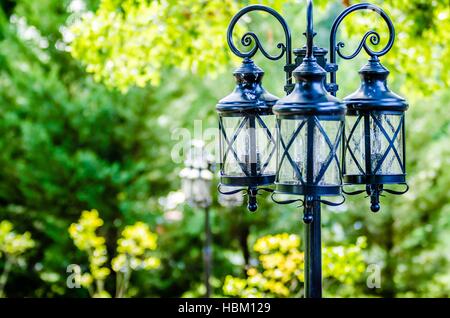 Lampadaire classique décoratif dans le jardin Banque D'Images