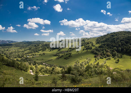 Paysage d'été sur la montagne Banque D'Images